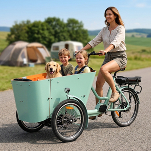 Bicicleta Eléctrica Urbana de 250W 350W 500W, Triciclo Holandés de 3 Ruedas, Triciclo de Carga, Triciclo Eléctrico para Perros, Bakfiet - Product Image 1
