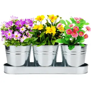 Plant Pots Set, Succulent Pots with Tray and Drain Holes - Galvanized Metal Succulent Planter Pots for Indoor Outdoor