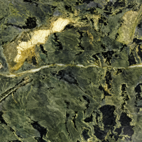 Grande dalle de marbre vert zèbre naturel poli pour plan de travail de cuisine, meuble-lavabo de salle de bain, revêtement mural, carrelage de sol