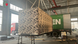 Casa Contenedor Prefabricada Expandible, Apartamento con Panel Sándwich, Diseño Moderno, Instalación Rápida, Color Personalizado, Tamaños de 20 pies/40 pies - Product Image 5