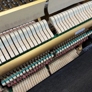 <span class=keywords><strong>Cuerdas</strong></span> de bajo extendidas <span class=keywords><strong>Yamaha</strong></span> U3M de 131 cm, clavijas de afinación de tungsteno - Product Image 4
