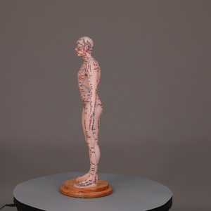 55cm Corps Points D'<span class=keywords><strong>acupuncture</strong></span> Chinois Silicone Acupoints Modèle Humain Grande Base Point Fixe Conception Modèle D'<span class=keywords><strong>acupuncture</strong></span> - Product Image 4