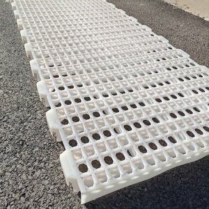 الشرائح البلاستيكية لتربية الدواجن * 50 دجاج اللاحم ، معدات أرضيات مضلدة عالية الجودة لتربية الدواجن - Product Image 2