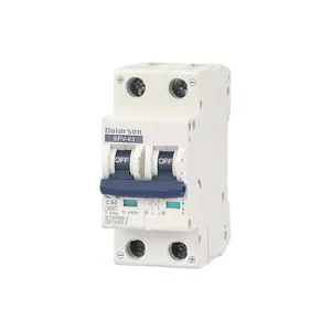 500V AC Mini Circuit Breaker MCB 1P 2P 3P 4P 16A 20A 25A 32A 40A 50A 63A 6KA