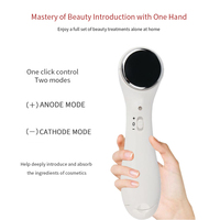 Appareil de beauté électrique pour le rajeunissement de la peau, micro-courant ABS 32g, spa facial à domicile