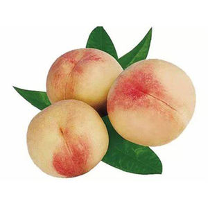 Sichuan <span class=keywords><strong>Miel</strong></span> Melocotones Frescos Junio a Agosto Pico 200-300g Por Fruta 5-8kg Por Cartón 12-16 ° Brix Azúcar - Product Image 2