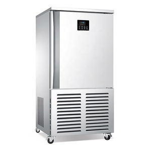 10 Tray Blast Freezer | Small Air Cooling Quick Machine | 2 Door Refrigerator Chiller - Product Image 1