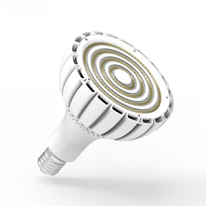 Faretti a LED ad alto lumen bianco caldo 20/30/35W 100-240v E40 lampadine a led