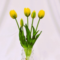 WY70107 Grosir Bunga Tulip Real Touch untuk Dekorasi Vas Pernikahan dan Rumah, Putih Pink 5 Tangkai, Bunga Tulip Buatan