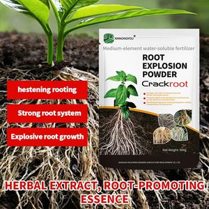 צנוטה חזק אבקת שורש מהירה פיצוץ שורש אורגני דשן - Product Image 2