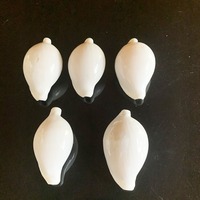 Coquillages naturels de lapin blanc, cauris pour la décoration de la maison en DIY