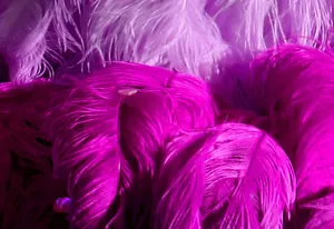 High Quality 15/20/25/30/35/40/45/50/55/60/65/70/75cm Artificial Ostrich Feathers Dyed Red Ostrich Feather For Decor