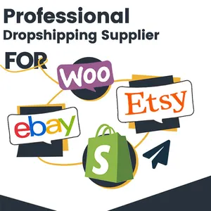 Professionele Dropshipping-Producten 2023 Agent Dropshipping-Bedrijf Met Afhandelingsservices Op Dezelfde Dag