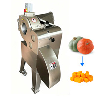 Pompoen Snijmachine HR-100 RVS Groenten Snijmachine 300-1000KG/H Pompoenblokjes Snijmachine