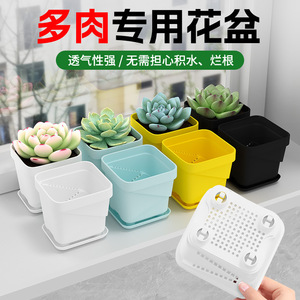 Macetas de plástico Qinfeng para suculentas de 7.5cm X 8cm X 3cm, mini macetas transpirables para jardinería en el hogar y escritorio. - Product Image 2