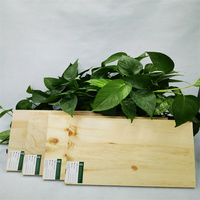 Pine Wood Timber 18mm 3/4 CDX Pine Plywood Sheet for Roofing Structural & Outdoor Wall Exterior