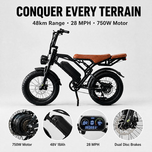 Bicicleta Elétrica para Adultos com Pneus Largos 20 X 4.0 250W com Suspensão Dupla e Freios a Disco com Amortecimento a Ar Traseiro Capacidade de 500 Lbs - Product Image 1