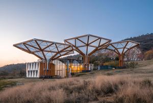 Materiales de Construcción de Bambú Moso al por Mayor de China, Materiales para Cabañas de Bambú para Jardín, Nuevos Materiales de Construcción - Product Image 6