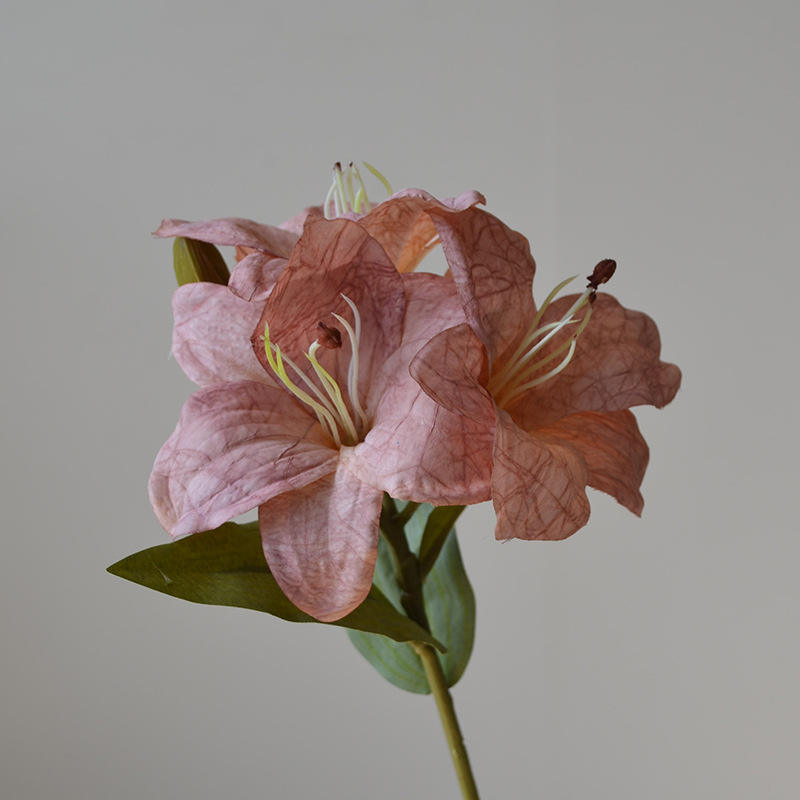 สีน้ำตาล