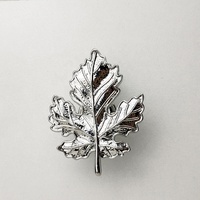 Poignées de tiroir en forme de feuille d'érable, poignées de commode, de placard, de garde-robe, de cuisine, de chambre à coucher, décoration dorée/argentée/bronze moderne
