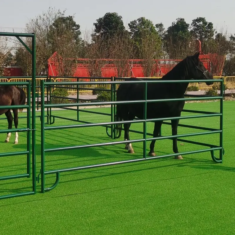 Panneaux et portes de corral en métal de haute qualité/bétail tenant des stylos de clôture pour la clôture de ranch de ferme de chameau/cheval/US CA UK