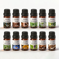 Ensemble de 10 ml d'huiles essentielles aromatiques, mélange de plusieurs huiles parfumées pour diffuseur, parfum d'ambiance, vente en gros, étiquette privée