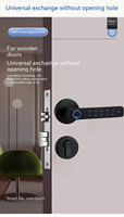Groothandel fabrieks prijs Tuya Smart Handle Lock vingerafdruk hendel Cloud ondersteuning voor houten/aluminium/stalen/messing deuren voor export