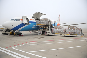 <span class=keywords><strong>Corredor</strong></span> <span class=keywords><strong>de</strong></span> Comercio China-Rusia, Ruta <span class=keywords><strong>de</strong></span> Logística Aérea Beijing-IKT con Seguro <span class=keywords><strong>de</strong></span> Tránsito <span class=keywords><strong>de</strong></span> 7-9 Días y Soporte 24/7 - Product Image 3