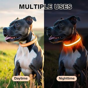 Collier de chien en nylon de luxe avec LED, sécurité nocturne, clignotant, lumineux, motif solide, accessoire lumineux fluorescent - Product Image 5