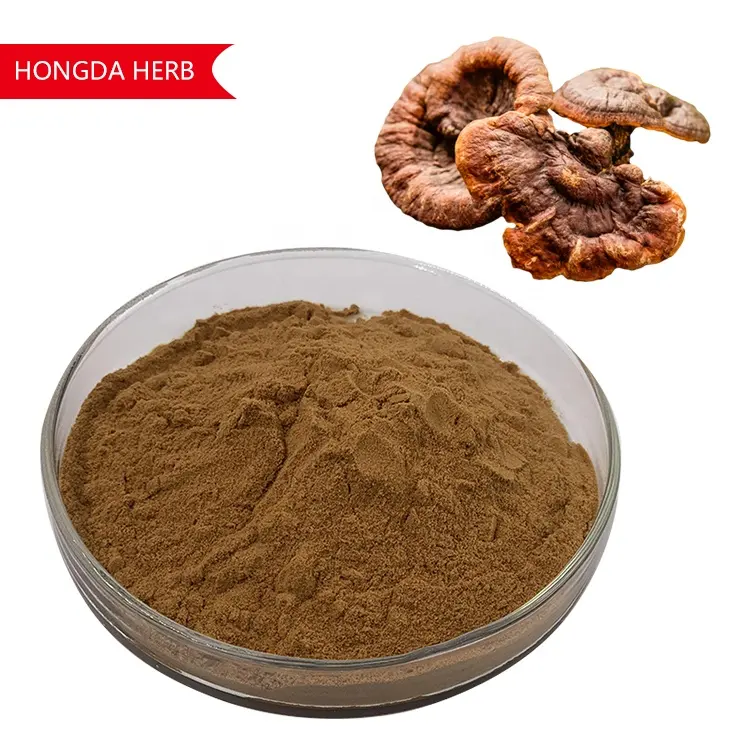 Pasokan pabrik Ekstrak organik Ganoderma Lucidum ekstrak Jamur Reishi 40% ekstrak Jamur Reishi