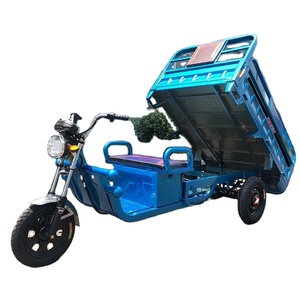 Les tricycles électriques de cargaison de moto électrique à 3 roues sont vendus en gros à un camion de cargaison à bas prix - Product Image 6