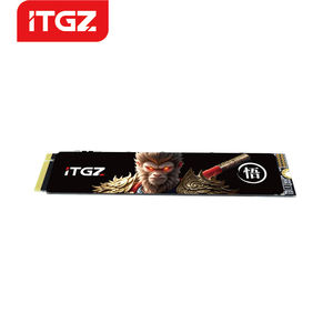 ITGZ M.2 NVMe SSD 128GB/512GB/1TB/2TB/4TB Intern Extern Tragbar für PC-Laptop PS5-Gehäuse - Product Image 1