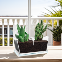 Clear Lucite présentoirs étagères de rangement murales en acrylique suspendus jardinière pots d'herbes