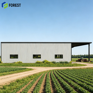 Almacén de Almacenamiento con Estructura de Acero Prediseñada de Alta Capacidad de Carga, Depósito Logístico Industrial Prefabricado - Product Image 1