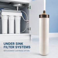 Élément filtrant en céramique OEM ODM de 10 pouces pour systèmes d'eau sous évier, sur comptoir et commerciaux