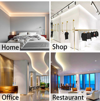 Bande LED à effet de poursuite SMD2835 24V 120 LED/m, lumière pixel adressable SM16703 8mm pour décoration intérieure