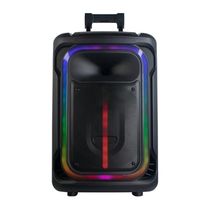 Enceinte Boombox RMS 100W avec basses puissantes, système DJ avec caisson de basses puissant, enceinte sur chariot avec éclairage RVB - Product Image 2