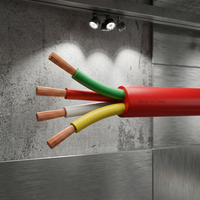 Câble d'alimentation RVV 300/500V 1 conducteur en cuivre étamé torsadé avec isolation en caoutchouc silicone 0,75-10mm² pour applications intérieures/de contrôle CE/RoHS
