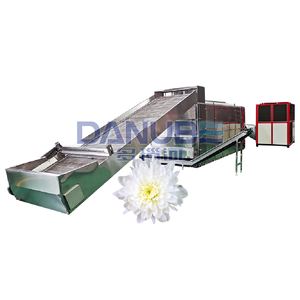 Equipo de secado de crisantemo blanco inteligente automático deshidratador de flores secador de cinta de malla de flores - Product Image 1