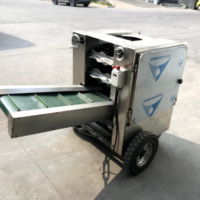 Éplucheur de coquille de noix de coco sèche commerciale 220V Husker Machine nouvelle condition dissolvant de peau brune pour les industries agricoles alimentaires