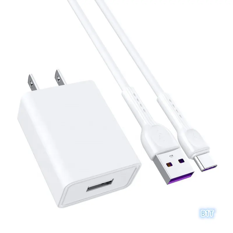 Hotriple B1T sıcak satış 5V 2.4A USB portu hızlı şarj abd tak şarj adaptörü duvar şarjı seyahat şarj cihazı tip C kablo ile