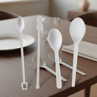 Cuillère à café biodégradable en CPLA, jetable et compostable, pour desserts, écologique, simple, pour fêtes