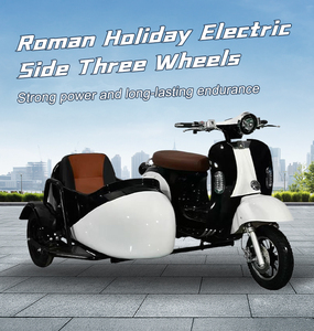 Triciclo de borde eléctrico romano de vacaciones 1500W cuerpo abierto 60V 30-50 Km/h OEM Chino para Adolescentes adultos 3 personas - Product Image 2