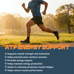 Créatine en poudre, monohydrate pur, soutien énergétique nutritif, complément pour la force et la vitalité, approvisionnement en vrac certifié GMP - Product Image 3