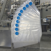 Sacs BIB personnalisés de 10 L, transparents, de qualité alimentaire, PA/PE+PE, avec bec verseur, aseptiques, imprimés en gravure, valve, pour liquides pasteurisés (œufs, jus)