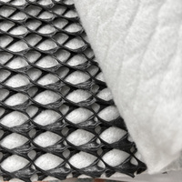 Géonet de drainage composite 3D HDPE pour la construction de sites d'enfouissement, de tunnels et de routes