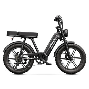 Nuova Bici Elettrica da Città per Donne e Adulti, con Pneumatici Fat, 750W 250W, Disponibile nel Magazzino Europeo - Product Image 6