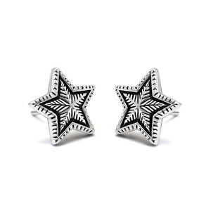 Pendientes con forma de estrella de acero de titanio estilo vintage para hombres y mujeres, joyería de regalo CF091 - Product Image 1