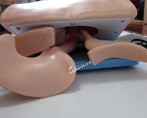 Modelo de Cabeza para Entrenamiento de Intubación Traqueal en Adultos, Anatomía de las Vías Respiratorias, Pulmones y Estómago - Product Image 2