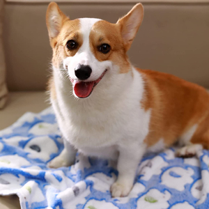 高級コーラルフリースパピーペットブランケット新デザイン洗える屋内屋外ふわふわベッドブランケット犬用プリントスタイル - Product Image 5